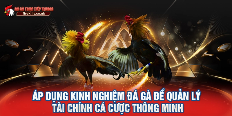 Áp dụng kinh nghiệm đá gà để quản lý tài chính cá cược thông minh