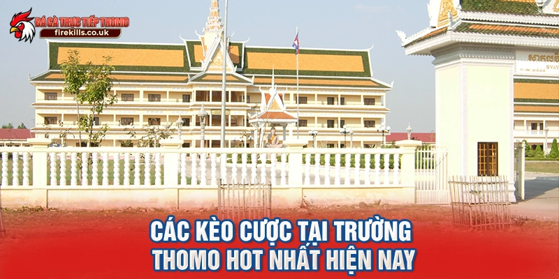 Các kèo cược tại trường Thomo HOT nhất hiện nay