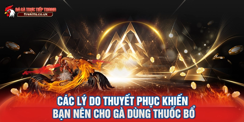 Các lý do thuyết phục khiến bạn nên cho gà dùng thuốc bổ