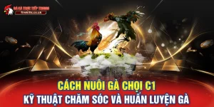 Cách Nuôi Gà Chọi C1