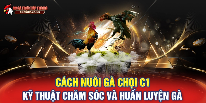 Cách Nuôi Gà Chọi C1