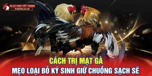 Cách Trị Mạt Gà