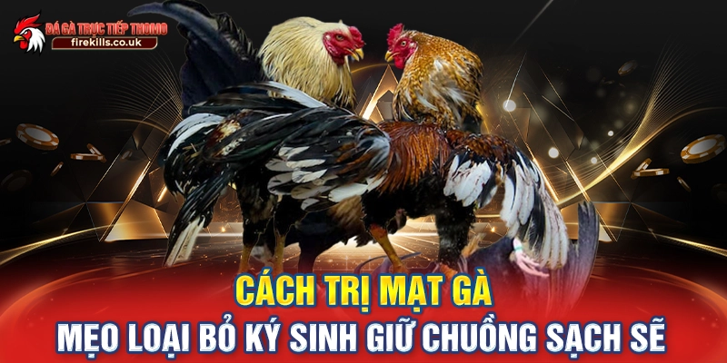 Cách Trị Mạt Gà