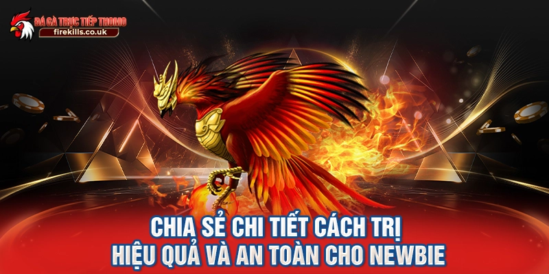 Chia sẻ chi tiết cách trị hiệu quả và an toàn cho newbie