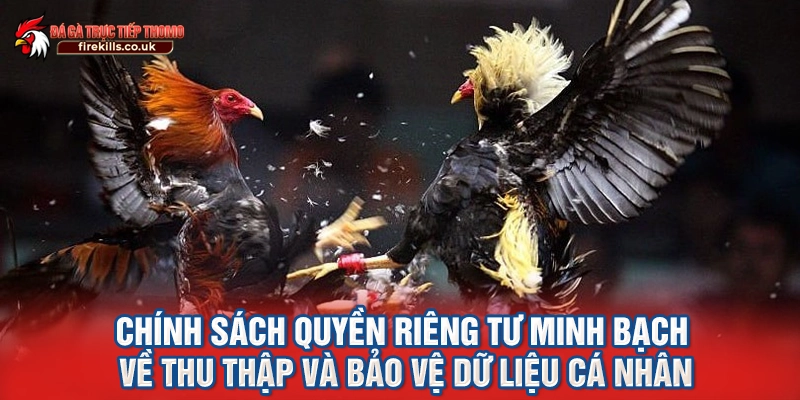 Chính sách quyền riêng tư giúp người chơi chủ động bảo vệ thông tin cá nhân