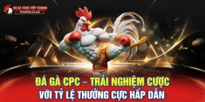 Đá Gà CPC