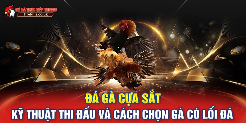 đá gà cựa sắt