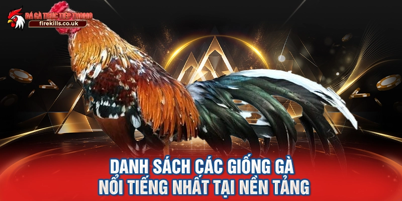 Danh sách các giống gà nổi tiếng nhất tại nền tảng