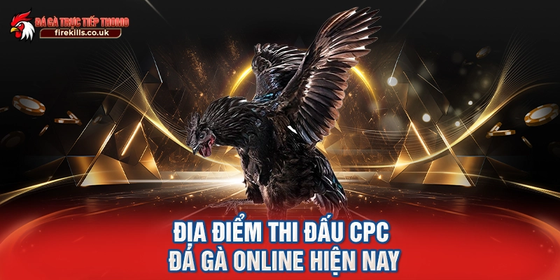 Địa điểm thi đấu CPC đá gà online hiện nay