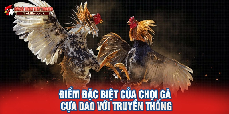 Điểm đặc biệt của chọi gà cựa dao với truyền thống