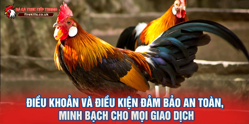 Điều khoản và điều kiện đảm bảo an toàn, minh bạch cho mọi giao dịch
