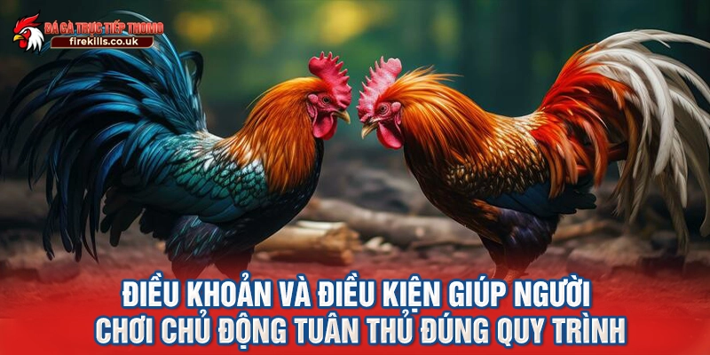 Điều khoản và điều kiện giúp người chơi chủ động tuân thủ đúng quy trình