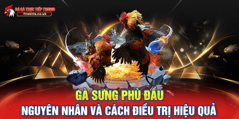 Gà Sưng Phù Đầu