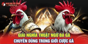 thuật ngữ đá gà