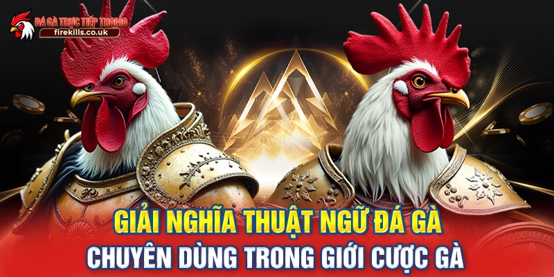 thuật ngữ đá gà