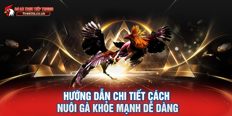 Hướng dẫn chi tiết cách nuôi gà khỏe mạnh dễ dàng