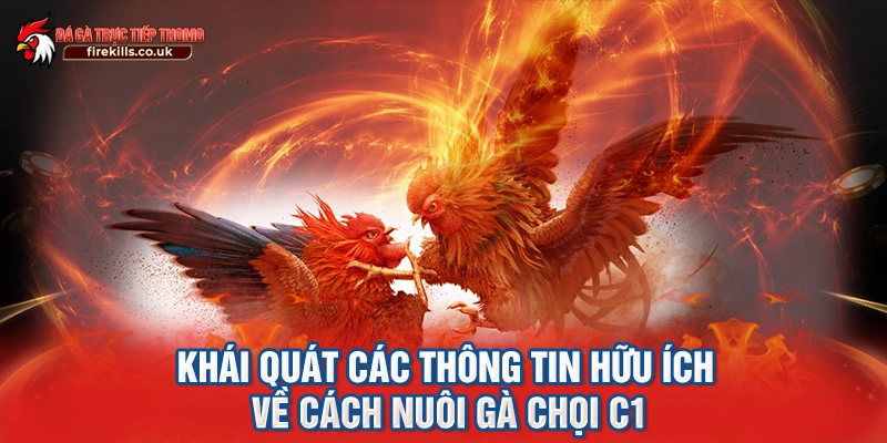 Khái quát các thông tin hữu ích về cách nuôi gà chọi c1