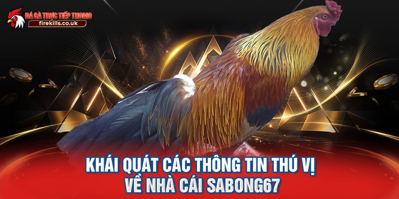 Khái quát các thông tin thú vị về nhà cái SABONG67