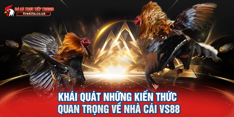 Khái quát những kiến thức quan trọng về nhà cái VS88