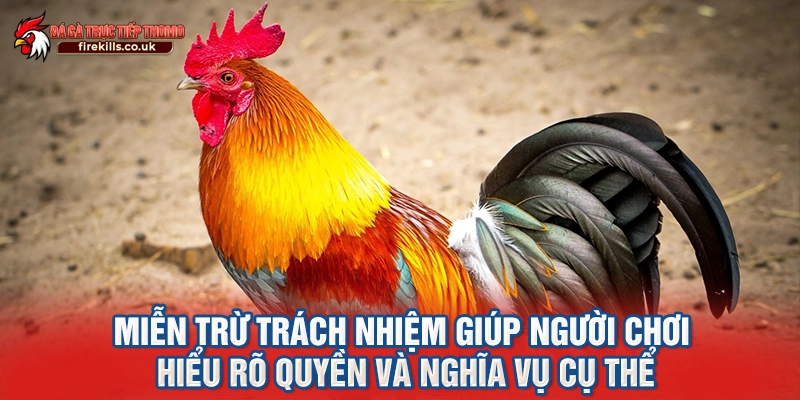 Miễn trừ trách nhiệm giúp người chơi hiểu rõ quyền và nghĩa vụ cụ thể