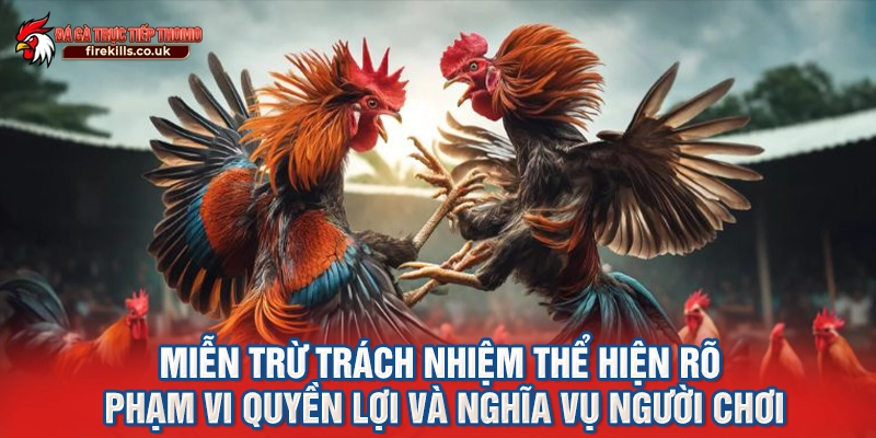 Miễn trừ trách nhiệm thể hiện rõ phạm vi quyền lợi và nghĩa vụ người chơi