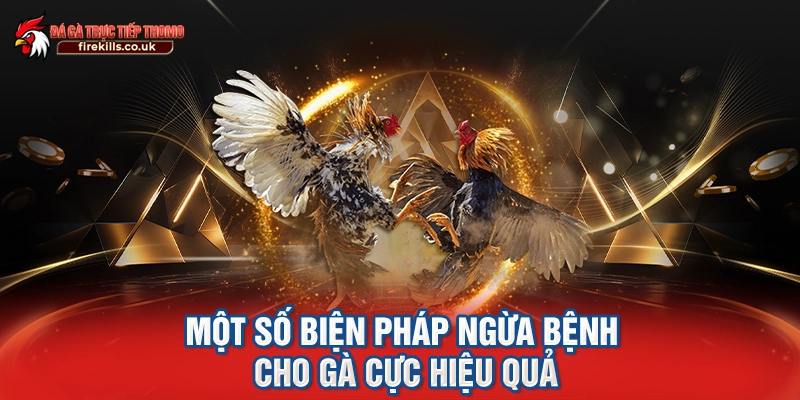 Một số biện pháp ngừa bệnh cho gà cực hiệu quả
