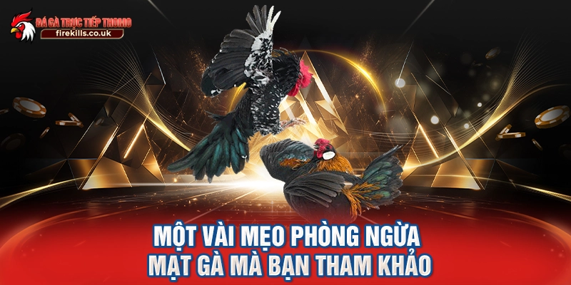 Một vài mẹo phòng ngừa mạt gà mà bạn tham khảo