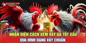 cách xem vảy gà tốt xấu