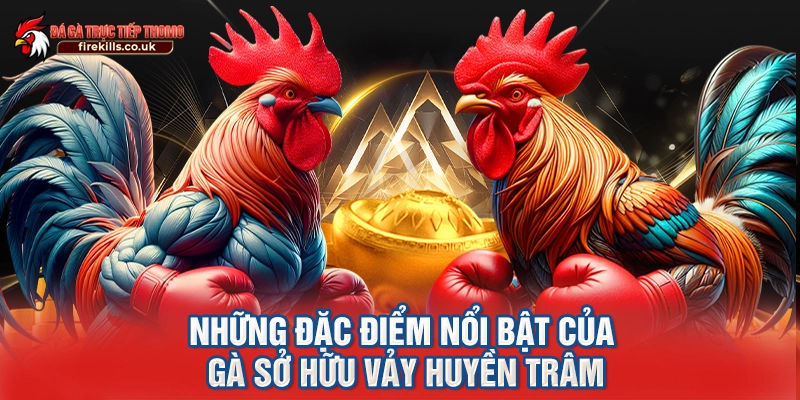 Những đặc điểm nổi bật của gà sở hữu vảy huyền trâm