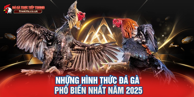 Những hình thức đá gà phổ biến nhất năm 2025