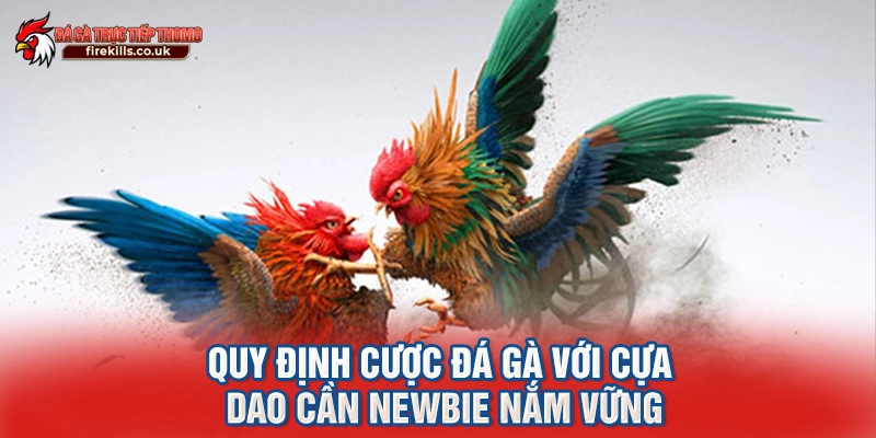 Quy định cược đá gà với cựa dao cần newbie nắm vững