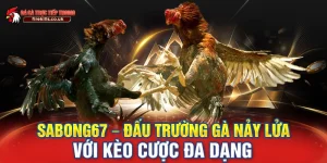 sabong67