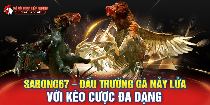 sabong67