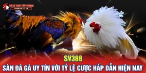 sv388
