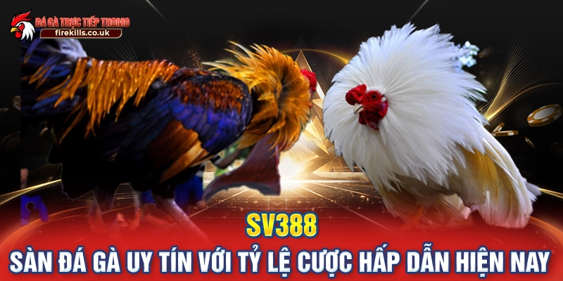 sv388