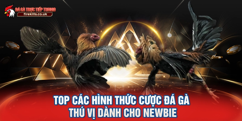 TOP các hình thức cược đá gà thú vị dành cho newbie