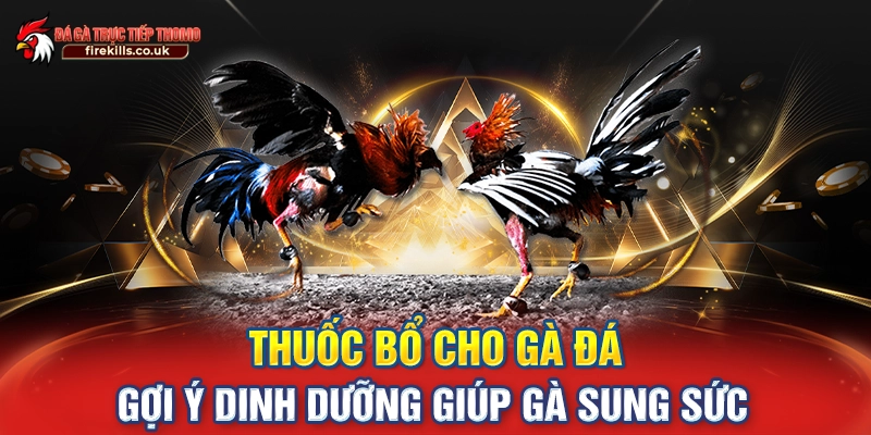 Thuốc Bổ Cho Gà Đá