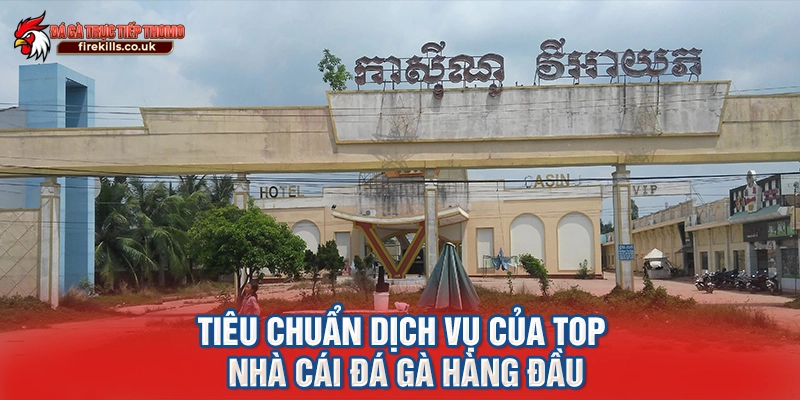 Tiêu chuẩn dịch vụ của top nhà cái đá gà hàng đầu
