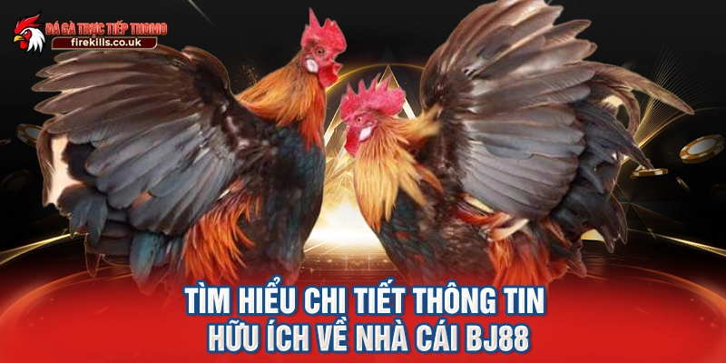 Tìm hiểu chi tiết thông tin hữu ích về nhà cái BJ88