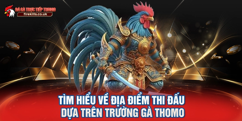 Tìm hiểu về địa điểm thi đấu dựa trên trường gà Thomo