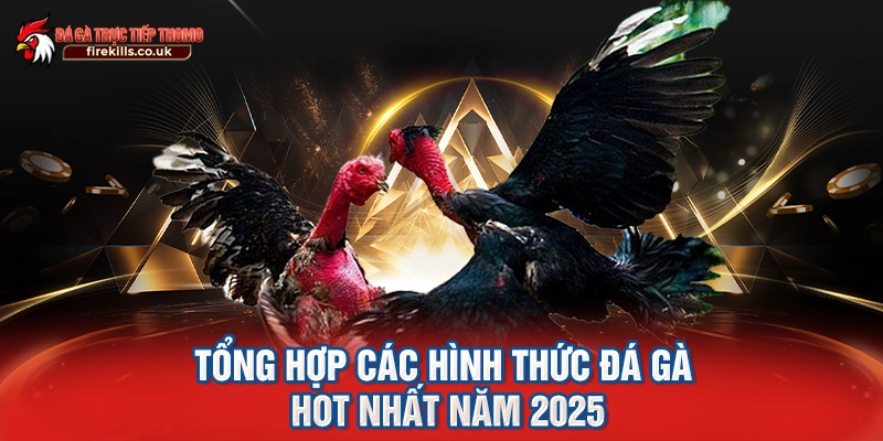 Tổng hợp các hình thức đá gà HOT nhất năm 2025