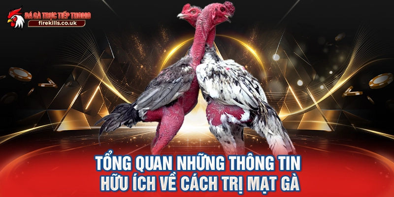 Tổng quan những thông tin hữu ích về cách trị mạt gà
