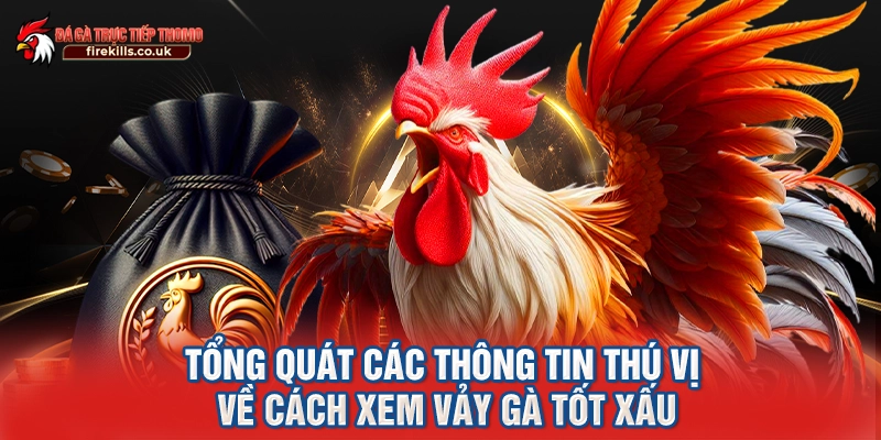 Tổng quát các thông tin thú vị về cách xem vảy gà tốt xấu