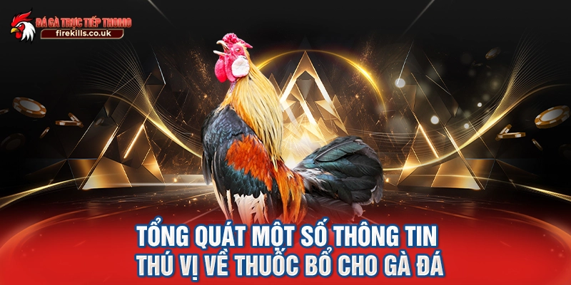 Danh sách những loại thuốc bổ đặc biệt nhất cho gà