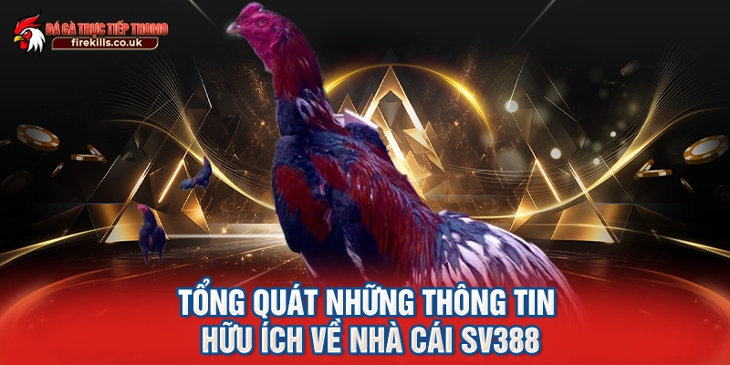 Tổng quát những thông tin hữu ích về nhà cái SV388