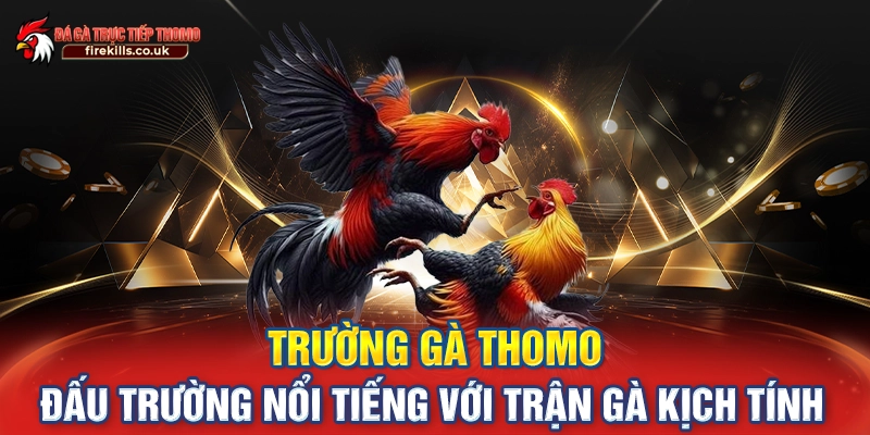 Trường Gà Thomo