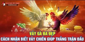 Vảy Gà Đá Đẹp